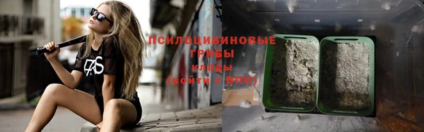 тгк Абинск