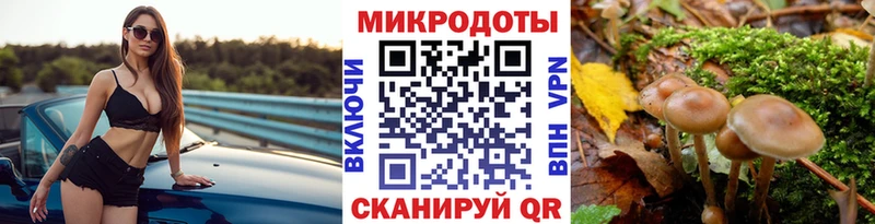 купить наркоту Ирбит Псилоцибиновые грибы Magic Shrooms