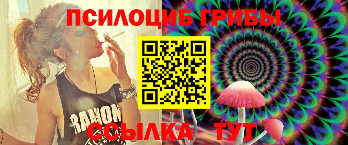 Псилоцибиновые грибы прущие грибы Ирбит