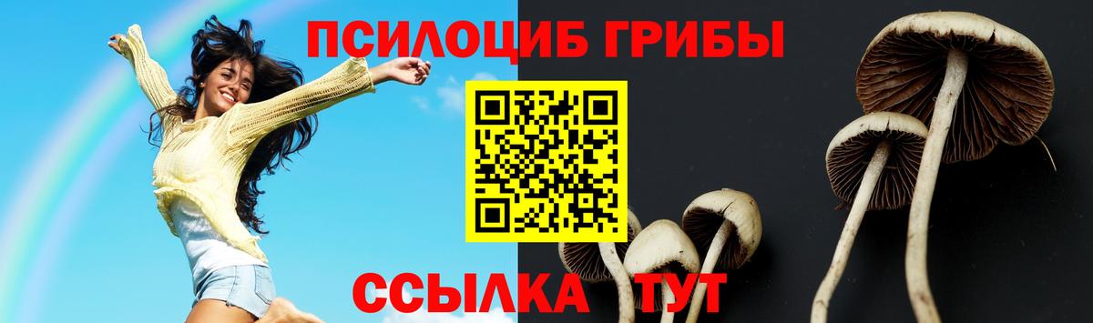 Галлюциногенные грибы Magic Shrooms  Вход с VPN  Ирбит 
